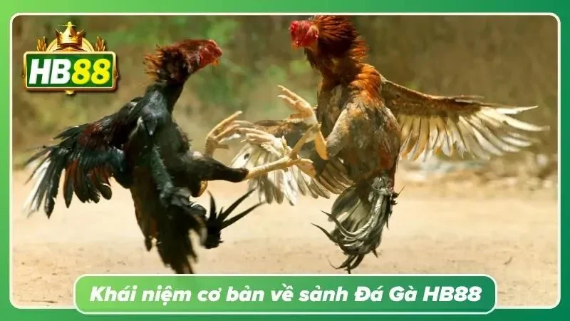 Càng hiểu luật chơi, càng tránh được những khoản thua vô nghĩa