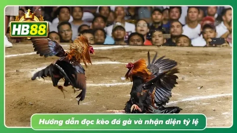 Sai ngay lúc đọc bảng kèo thì rất khó gỡ lại về sau