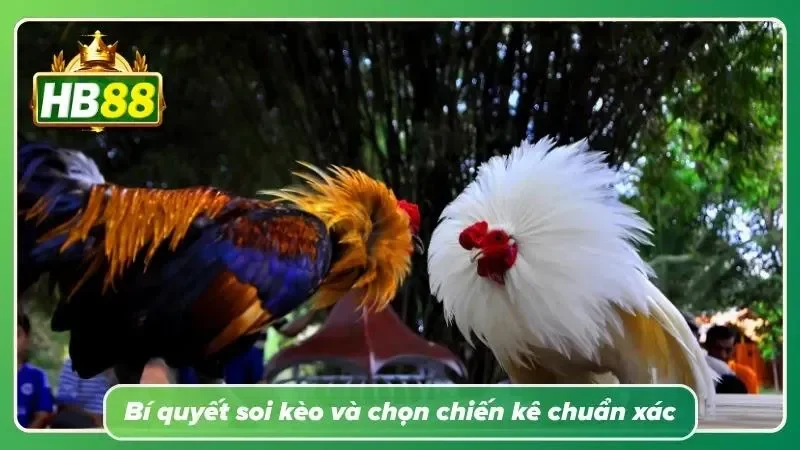 Người thắng dài hạn luôn quan sát nhiều hơn xuống tiền