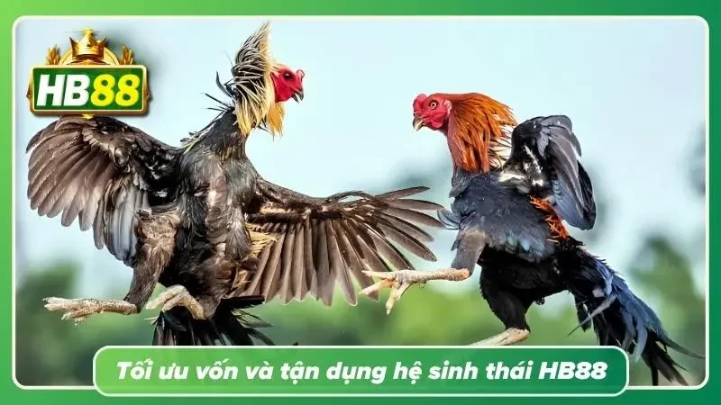 Người giữ vốn tốt luôn có nhiều cơ hội thắng hơn người liều