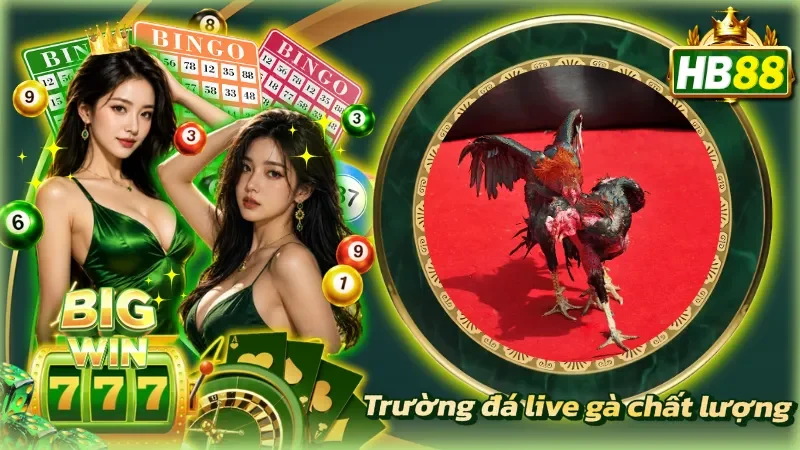 Hệ thống đặt cược minh bạch đảm bảo tính công bằng tối đa